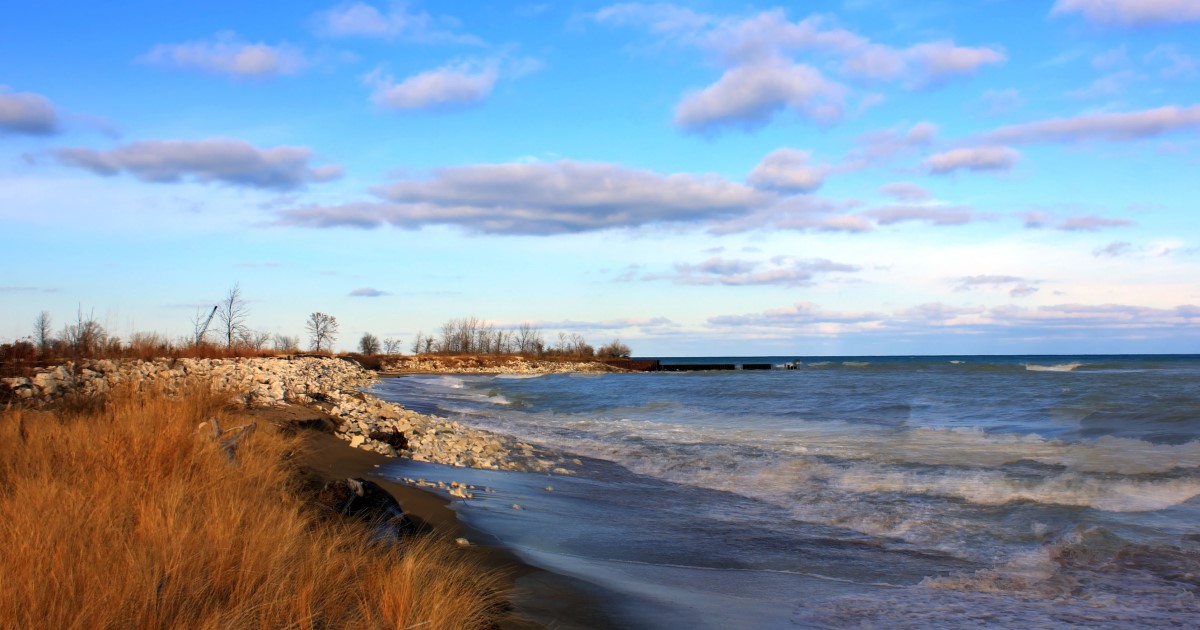 Beach shoreline with rocks and tall grasses